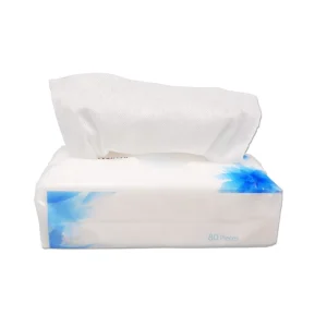 100 Pack Disposable Cotton Face Towel in Box Non-Woven Soft Dry Wipes Facial Cleaning Cloths for Daily Home Care