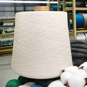 100% Polyester 30S 1 High Tenacity Raw Ring Spun Yarn