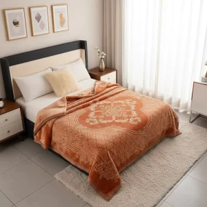 100% Polyester Custom Logo 2 Ply Super Soft Printed Korean Style Mink Fleece Raschel Blanket for Winter