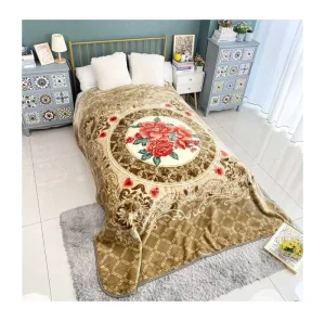 100% Polyester Super Soft 5-8 Kilo King Size Printing 1ply Korean Style Mink Raschel Blanket