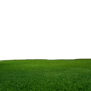 10mm Interlocking Plastic Artificial Grass Turf Tile Fireproof High Density Eco-Friendly Durable Waterproof Backyard Turf 5+