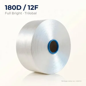 180D/12F High Tenacity Bright Nylon Filament Yarn for Webbing Textile Weaving (Jiangsu Origin)