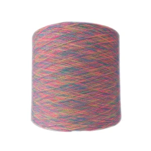 21s 1 Polyester Spun Fancy Space Dyed Yarn for Socks