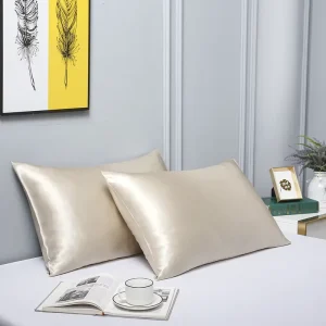 22 Momme Pure Silk Pillowcase 2 Pack Zipper Closure Custom Gift Box Home Hospital Hotel Luxury Style Customizable Colors Logo