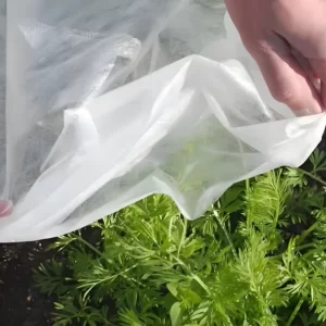 22 Years Factory Anti-UV PP Spun-bonded Non Woven Fabric for Agriculture Use Anti-UV Weed Control Mat Use Non Woven Fabric