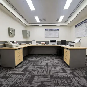 24×24 Carpet Tiles Basement Carpet Tiles Office Carpet Tiles