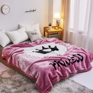 2ply 2kg 3kg 4 kg Super Soft Heavy Winter Blanket King Size Luxury Thick Korean Raschel Blanket
