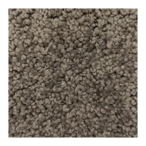 4m Nylon Wall to Wall Carpet Fire Proof Carpet for Commercial Flooring