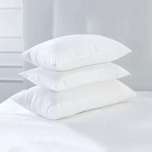 5 Star Hotel Luxury Bed Pillows 1000G Pillow With Bag