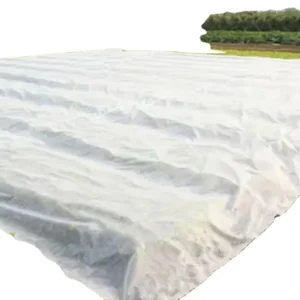 65g Anti UV PP Spun bonded Non Woven Fabric for Agriculture Use Plant Cover Non Woven Fabric