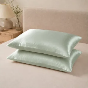 6a Grade Pure 19momme Natural Mulberry Eco Friendly Solid Color Soft Pure Silk Pillow Case Cover