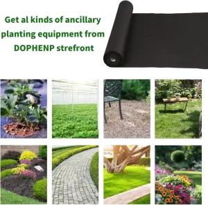Agricultural Mulch Film PP Ground Cover Fabric UV Stabilizer Customizable Length Cutting for Weed Suppression Temperature