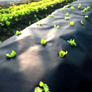 Agricultural Mulch Film & Weed Control Fabric for Greenhouse & Garden 100% Polypropylene UV Stabilizer Custom Cutting Service