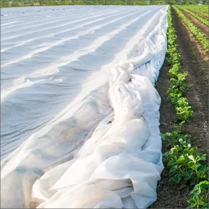 Agricultural Nonwoven Fabric Cover Non Woven Fabric Roll Garden Vegetable Tree Covers Garden Winter Protective Cover for Plant