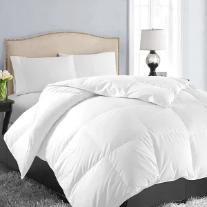 All Season Queen Size Soft Quilted Down Alternative Comforter Reversible Duvet Insert with Corner Tabs Winter Summer Warm Fluffy
