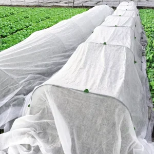 Anti Frost PP Agriculture Non-Woven Cover Rolls 20gsm Spunbonded PP Nonwoven Fabric
