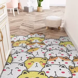 Anti slip Fancy Door Mat PVC Entrance Door Mat for Home