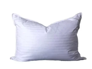 ArcticNorthDown Standard Goose Feather Hotel Collection Bed Pillows Washable 300tc Back Stomach Side Sleepers Stripe White Color