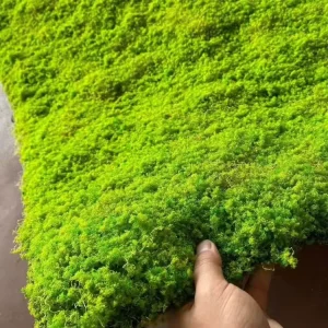 Artificial Green Moss Turf Grass Plastic Moss Carpet Eco friendly UV Varnished Realistic Plants Moss Wall Garden Landscape Floor