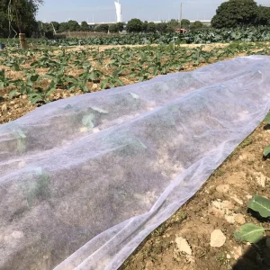 Available Immediate Supply Agricultural Connection Anti-Aging Spunbond Non-Woven Fabric Heat-Insulation Moisture Fabric