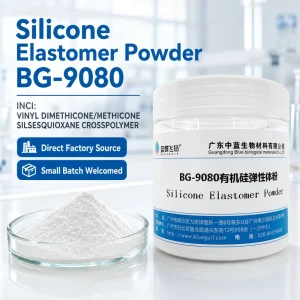 BG 9080 Silicone Elastomer Powder VINYL DIMETHICONE METHICONE SILSESQUIOXANE CROSSPOLYMER for Makeup & Skincare