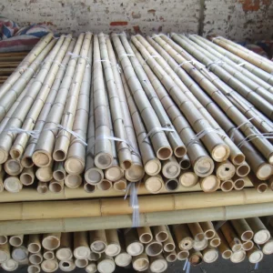 Bamboo Raw Materials Bamboo Pole