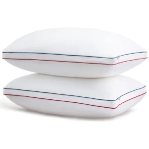 Bed Pillows for Sleeping Queen Size Pillows Allergy Friendly Microfiber Shell Fluffy Down Alternative Filling Pillow