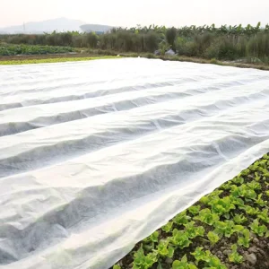 Breathable Waterproof Eco Friendly Non Woven Fabric with PP Lightweight Plant Protection Cover for Agriculture Ground Cover