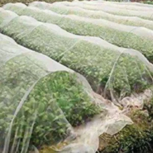 Breathable Waterproof Memory Non Woven Covers for Greenhouses Protecting Against Weather and Pests