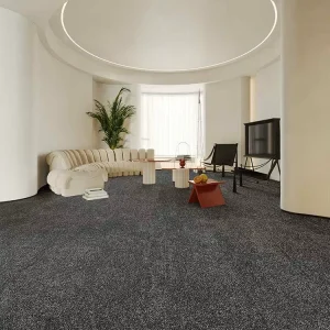 Carpet Modern Rugs Living Room Large Eco friendly Wall to Wall Carpet Home