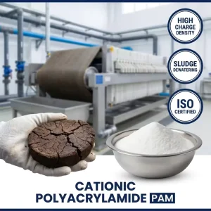 Cationic Polyacrylamide PAM for Sludge Dewatering Belt Filter Press High Charge Density Flocculant