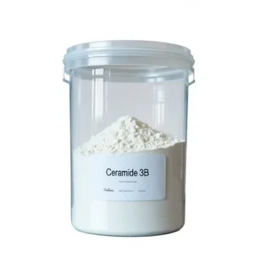 Ceramide 3B Cosmetic Raw Materials White Off white Fine Powder Oral Care Barrier Enhancement Moisturization Anti Aging 95%