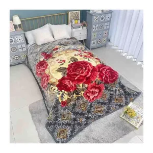 China Factory Double Size Korean Style Thick Printed Soft 2ply Embossed 4kg 8kg Warp Mink Raschel Blanket for Winter