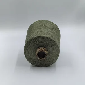 China Factory Price Rayon Yarns 21S Pea Green Rayon Spun Yarn For Knitting Weaving 100% Polyester Custom Dyed Yarn