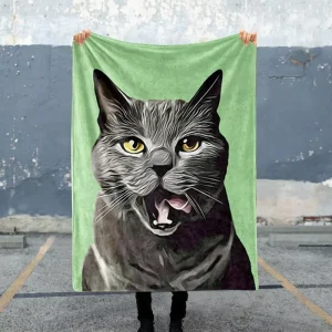 Comfortable Soft Flannel Blankets Custom Digital Printed Thermal Sublimate All Seasons Cartoon Animal Airplanes Throws