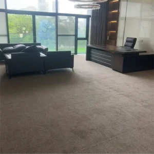 Contemporary Art Gallery Exhibition Hall Cut Pile Carpet Neutral Tone Wall to Wall Flooring Minimalist Saxony Carpet
