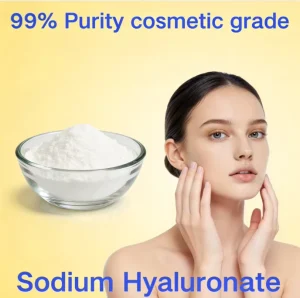 Cosmetic grade Sodium Hyaluronate Hyaluronic Acid Powder Special Raw Material for the Beauty Industry