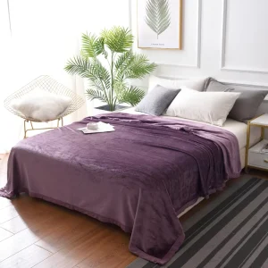 Cozy Soft Luxury Warm Four Seasons Customizable Blanket Polar Fleece Minky Raschel Double Bed