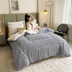 Custom China AB Version Taphne Luxury Queen King Size Winter Warm Cotton Quilt Soft Blanket Bed Comforter for Winter