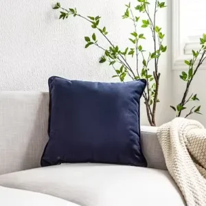 Custom Home Decorative Throw Pillow Soft Velvet Cushions for Home Decor Couch Sofa Throw Pillow