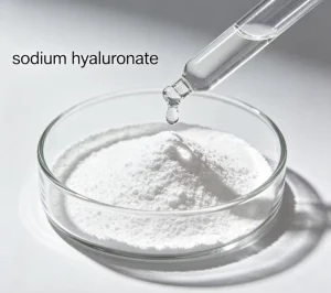 Custom Molecular Weight Sodium Hyaluronate Powder Cosmetic Food Grade LMW HMW Optional Bulk Foil Bag Drum Packaging Available