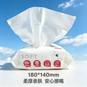 Customizable Biodegradable Natural Water Disposable Flushable Baby Wet Tissue Wipe 1 120 Pcs Wet Wipe