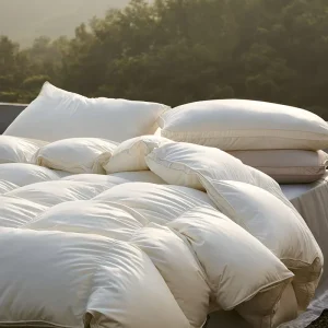 Customizable Large White Goose Down Quilt Duvet Core Thickened Warm Winter Quilt for Spring Autumn Use at Home