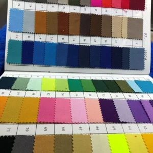 Customized Color Card Anti Pill 100% Polyester 350 GSM Medium Weight Weft Suede Woven Canvas Fabric for Home Textile Girls