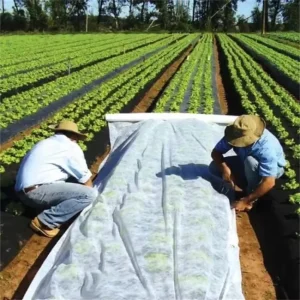 Customized Polypropylene Nonwoven Agricultural Frost Fleece Spun-Bond PP Cover Waterproof Anti-UV Fusible Plant Protection