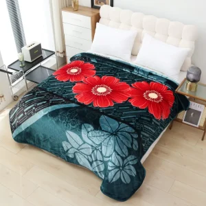 Customized Thickened Raschel Blanket Factory Winter Warm Blanket Sheet Double Layer Flannel Covering Blanket