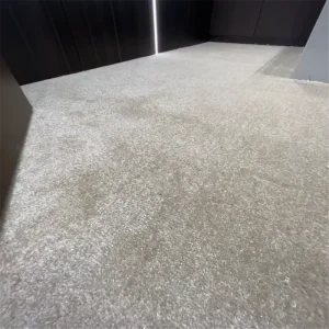 Cut Pile Wall to Wall Carpet for Living Room Low Price Factory Direct Supply Custom Binding Available