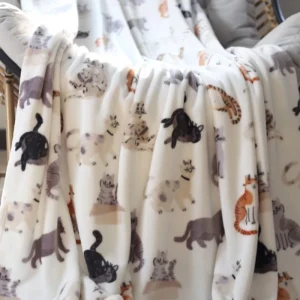 Cute Cat Eco friendly Customizable Modern 100% Polyester Winter Blanket Bed Nap Lunch Break Air conditioning Sofa Christmas Use