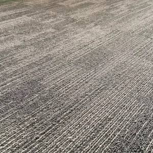 Decorative Home Polypropylene Ordinary Office Carpet Flame Retardant Non-woven Bottom Carpet Tile