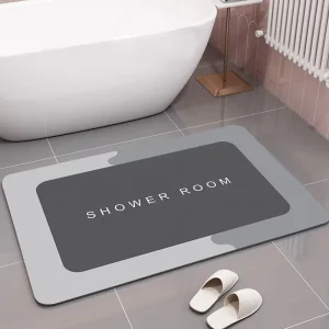 Diatom Mud Printed Absorbent Non-Slip Novelty Soft Bathroom Entrance Mat Toilet Door Mat Floor Mat